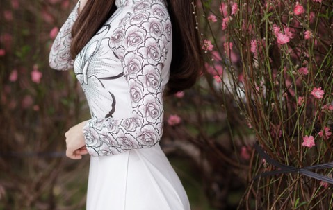 补眼睛吃什么补品