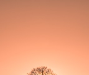 合肥高薪捐卵联系方式，附捐卵机构名单一览！